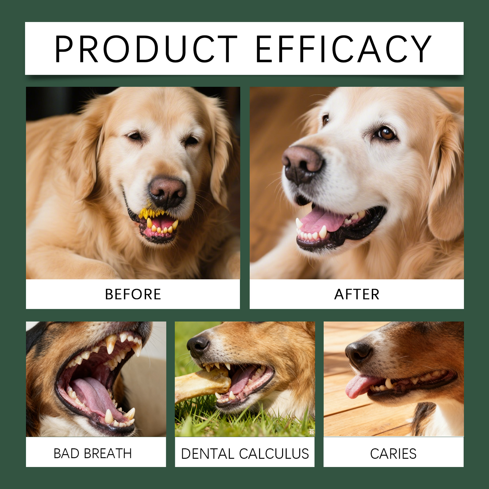 Pó para Cuidado Dental de Cães - Teeth Whitening Powder avaliação e preço