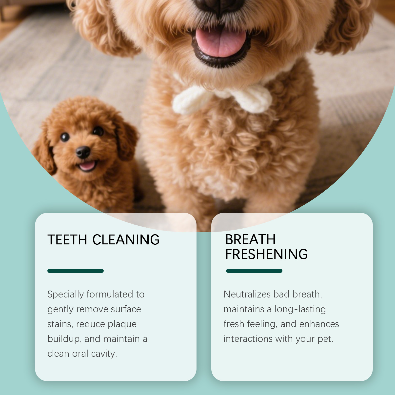 Pó para Limpeza de Dentes de C - Teeth Whitening Powder avaliação e preço