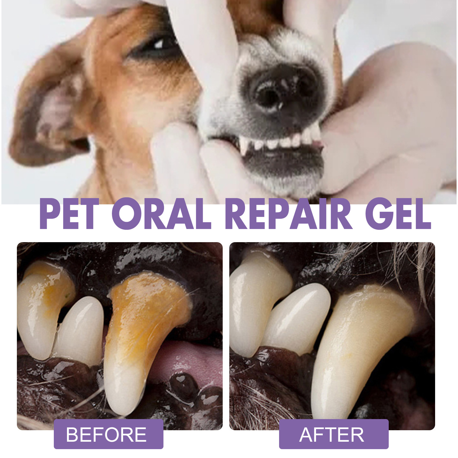 Gel de reparação oral para ani - Teeth Whitening Clinic avaliação e preço